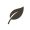 leaf icon